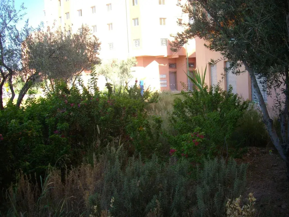 Cheap Accommodation in Marrakech