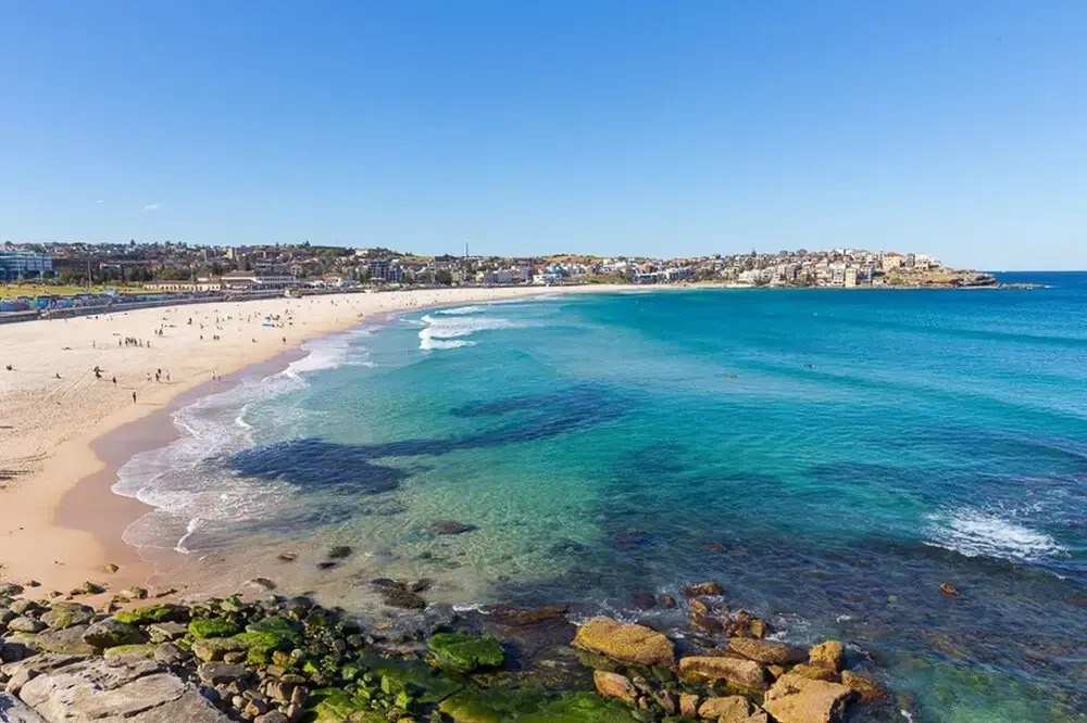 Cozy Suite Block Away To Bondi Beach