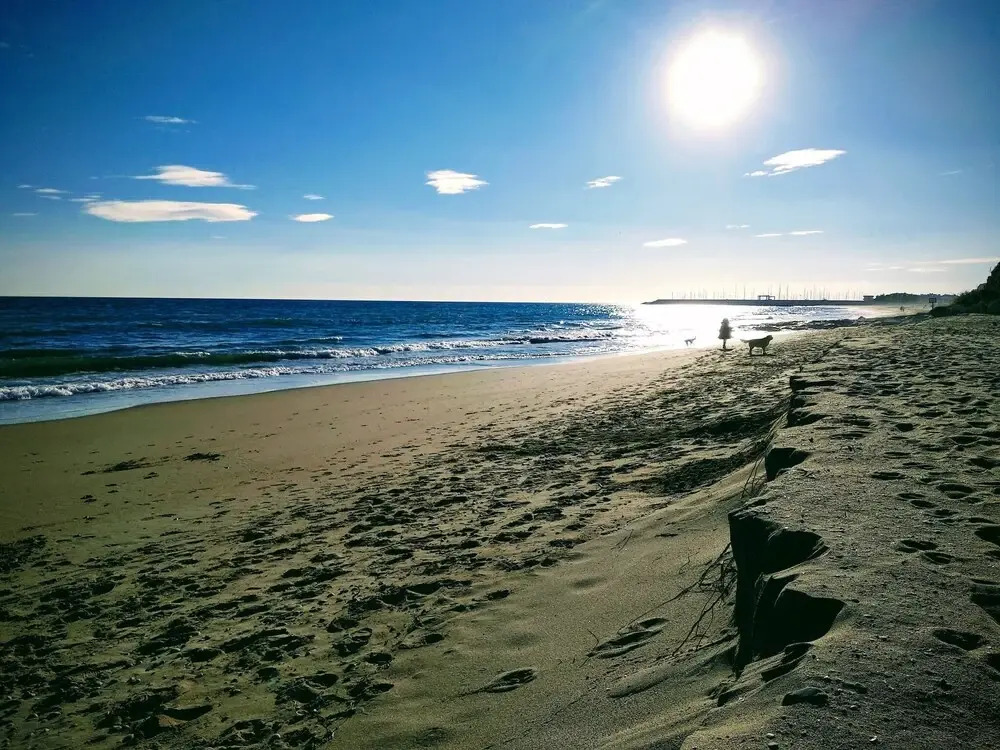 Paradise on the Beach