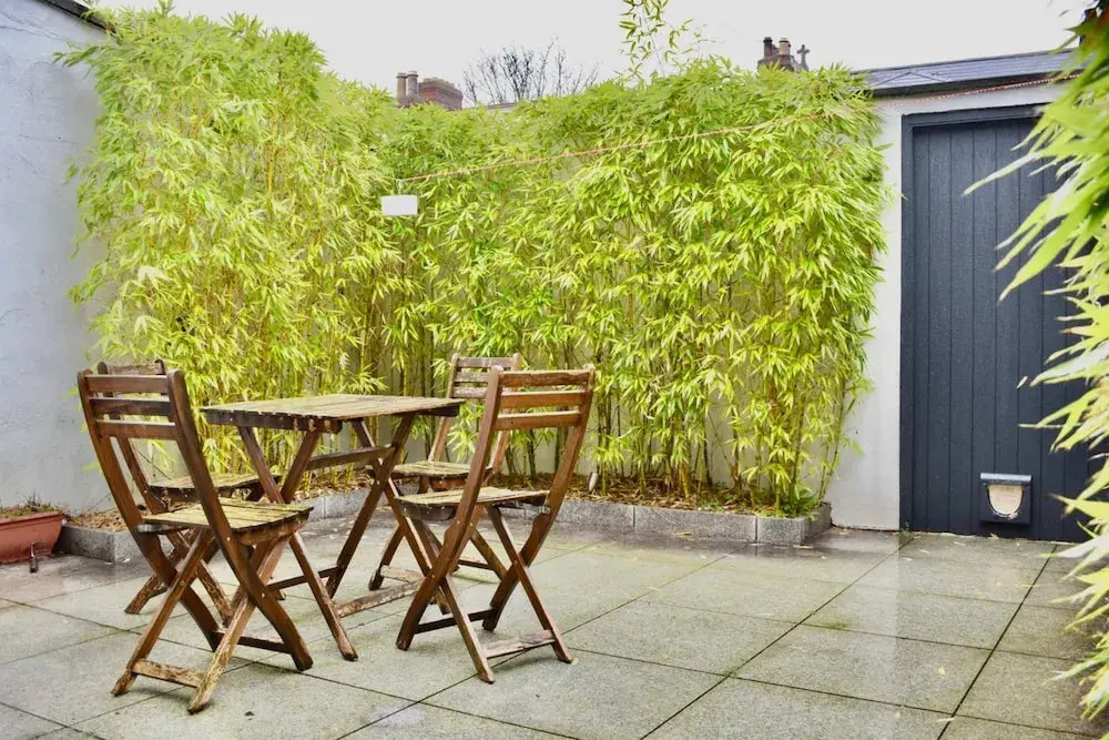 Newly Renovated 2 Bedroom Georgian House in Fairview