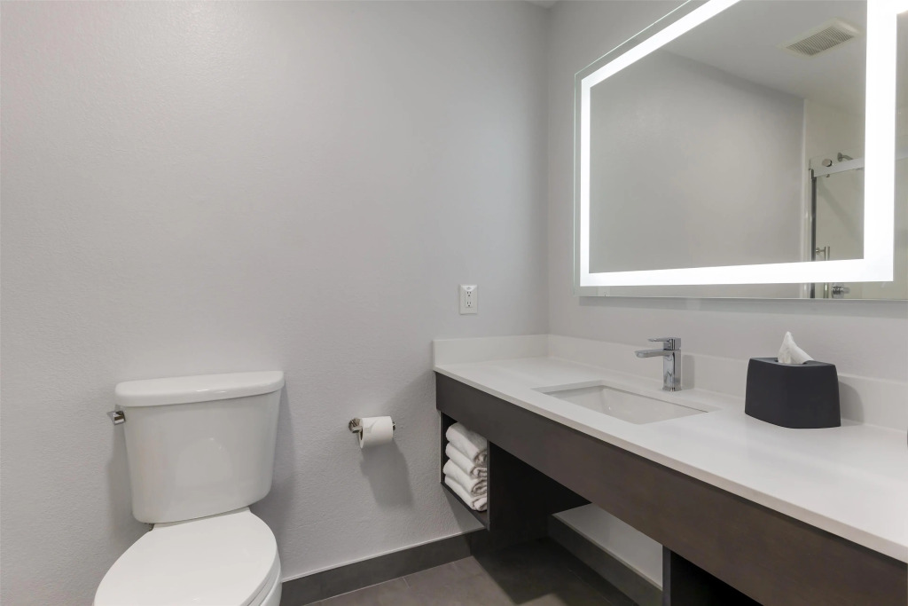 Best Western Plus Lewisville Flower Mound