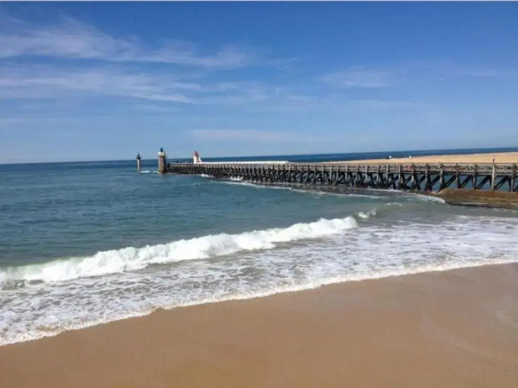 Appartement Capbreton, 3 Pièces, 4 Personnes - Fr-1-239-453