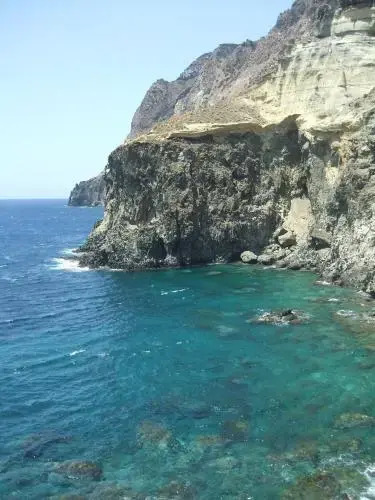 Papuscia