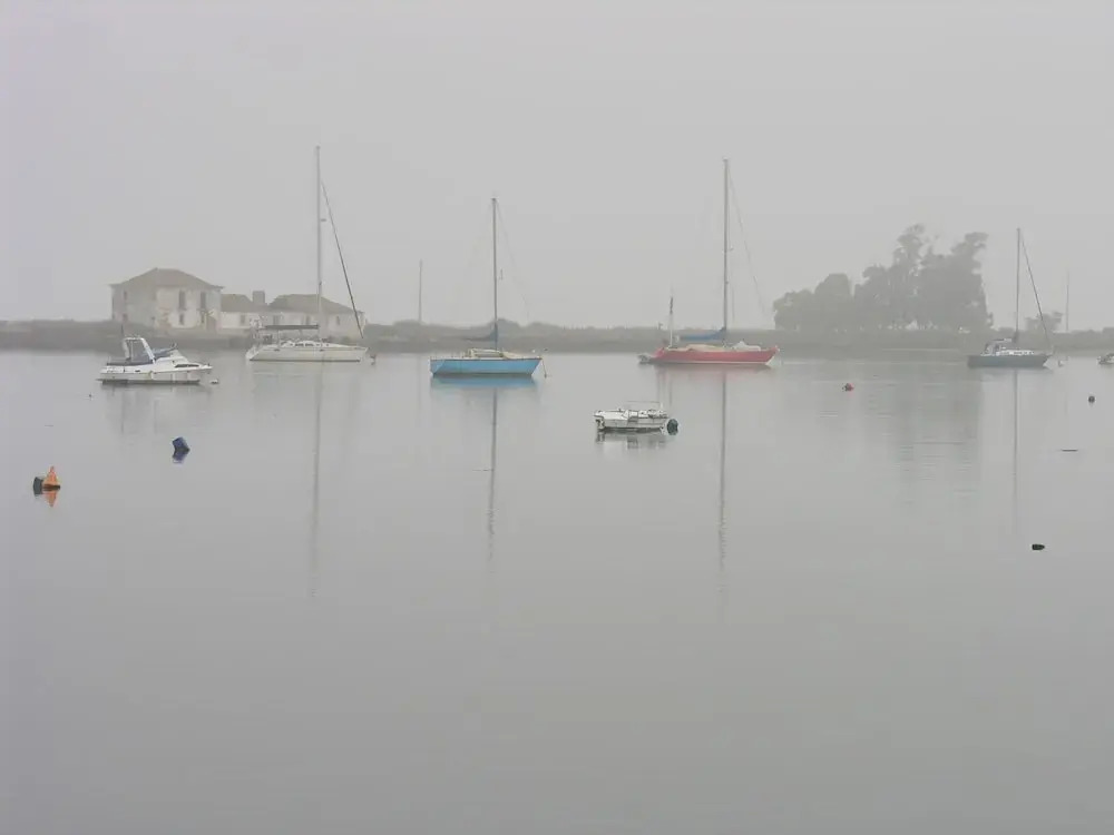 The Boat