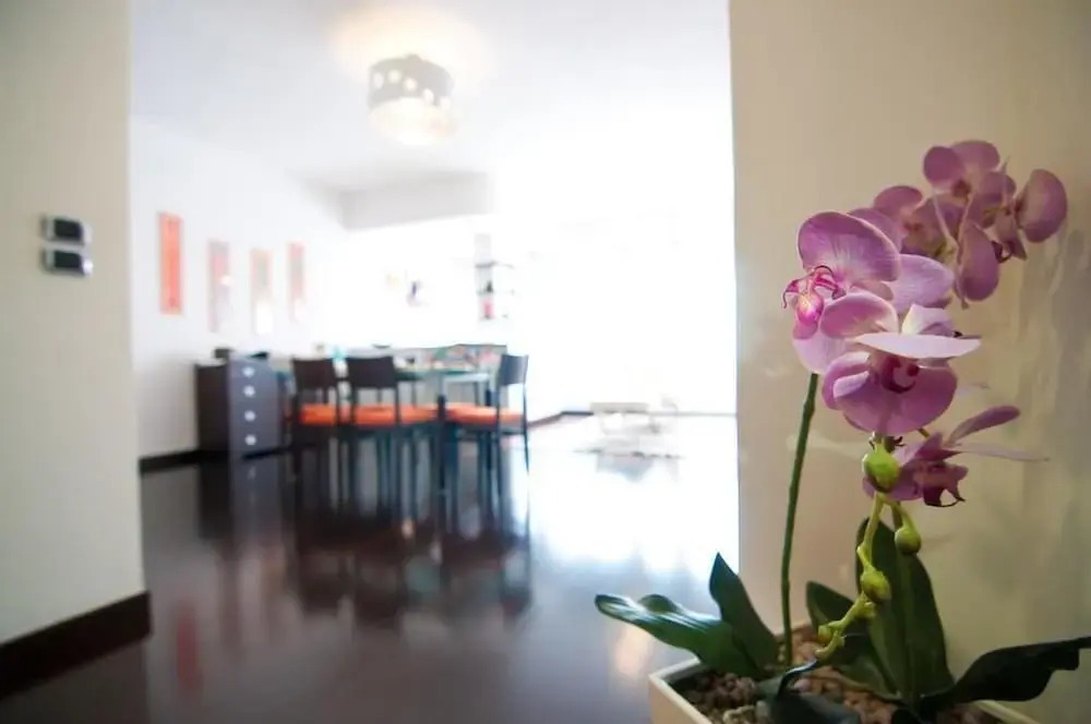 The Branch Apartment