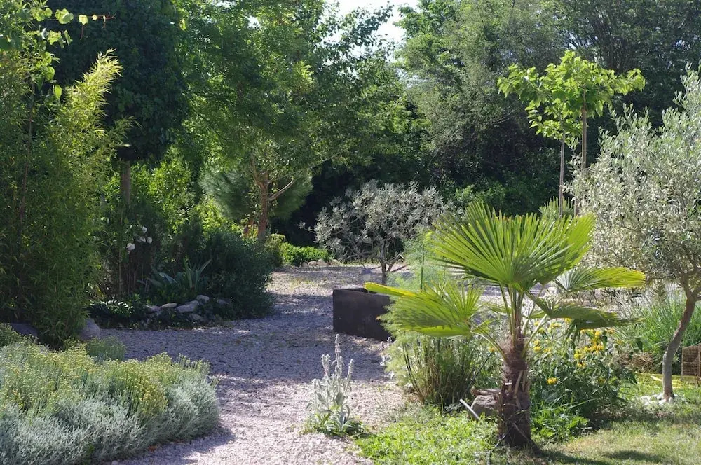 Mas Nina Rosa