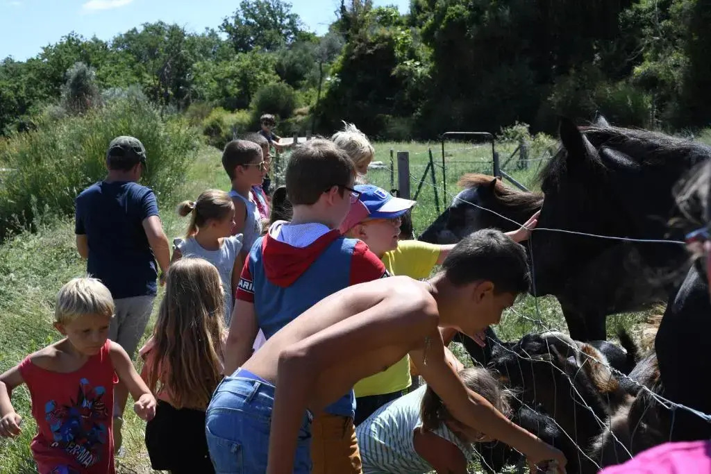 Camping L'Evasion