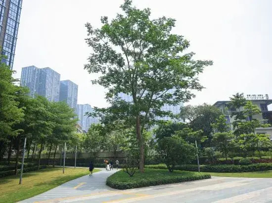 Century International Apartment