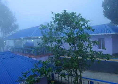 Mist Land