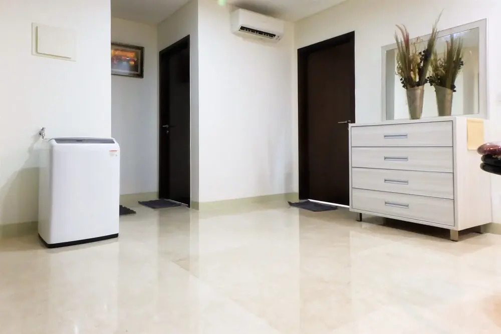 Luxury Lavenue Apartment