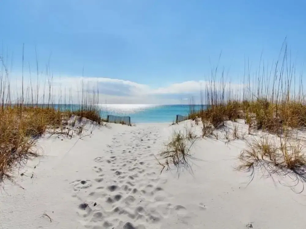 Gulf Winds by Surfside