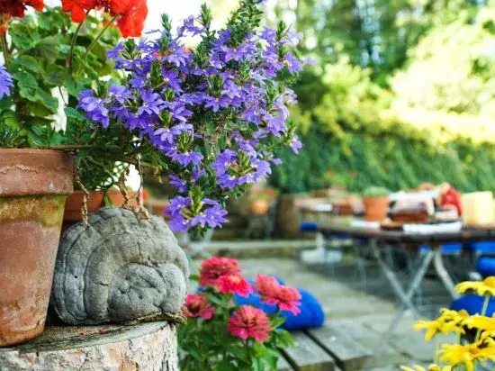 Gasthof-Hotel Zur Post