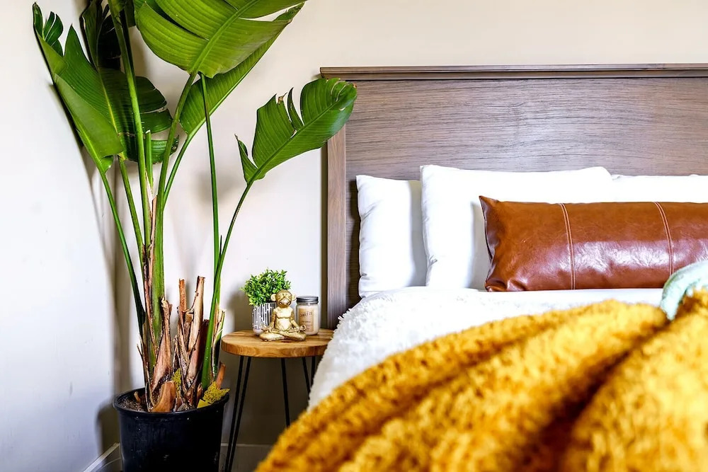Jungle House Downtown Columbus – Modern Boutique Suites