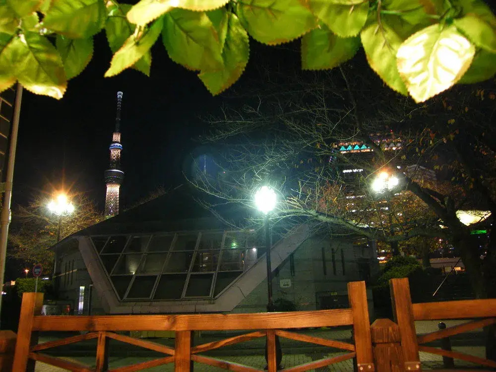 Japonica Lodge(ジャポニカロッジ)