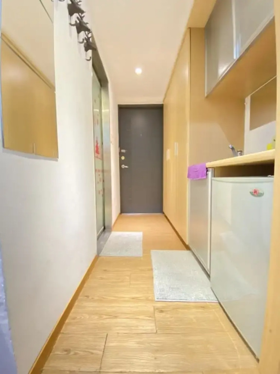 Tokyo Loft duplex apt