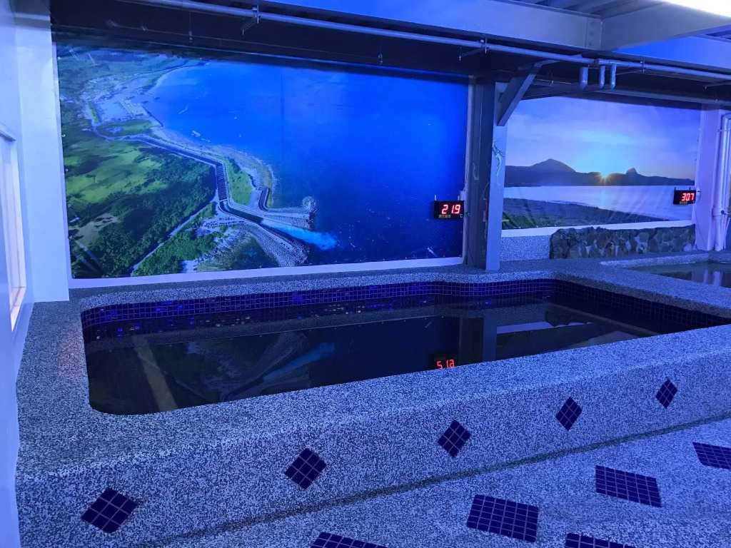 Kenting Maldives Hotspring Hotel-Pet friendly
