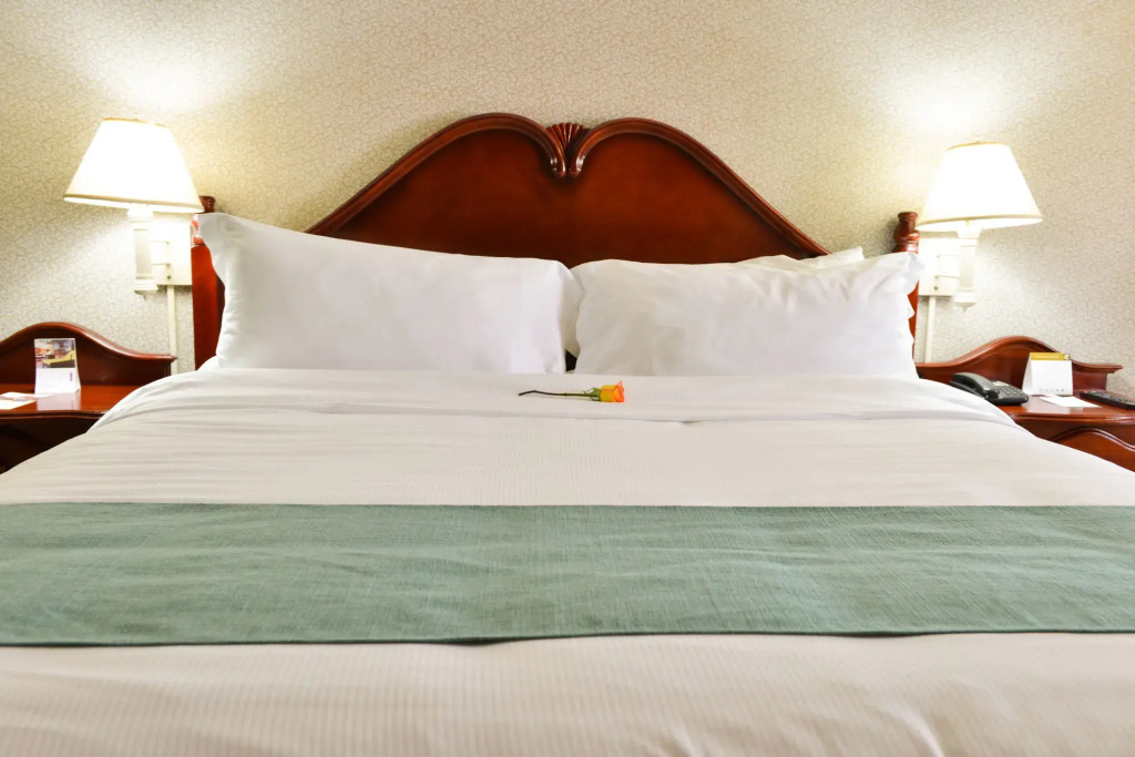 Hotel Plaza Del Libertador