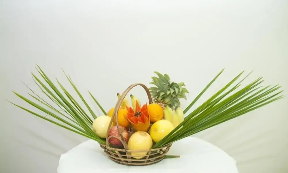 Palm Garden