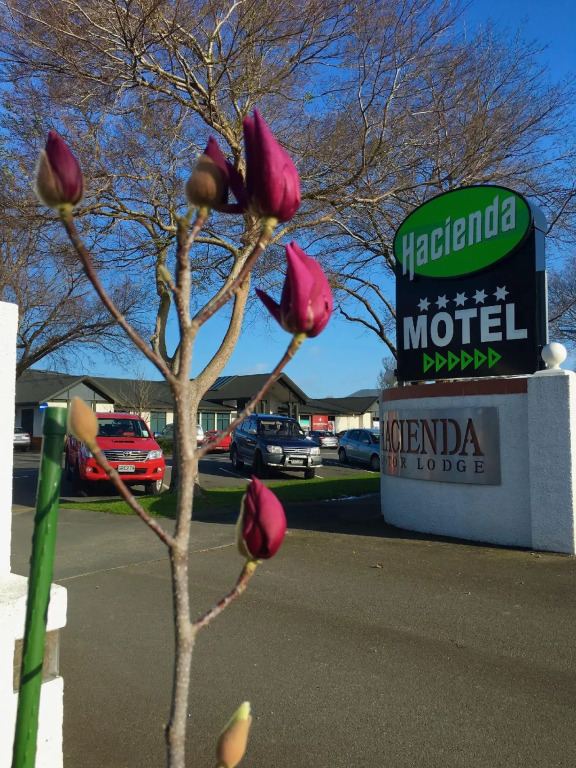 Hacienda Motor Lodge