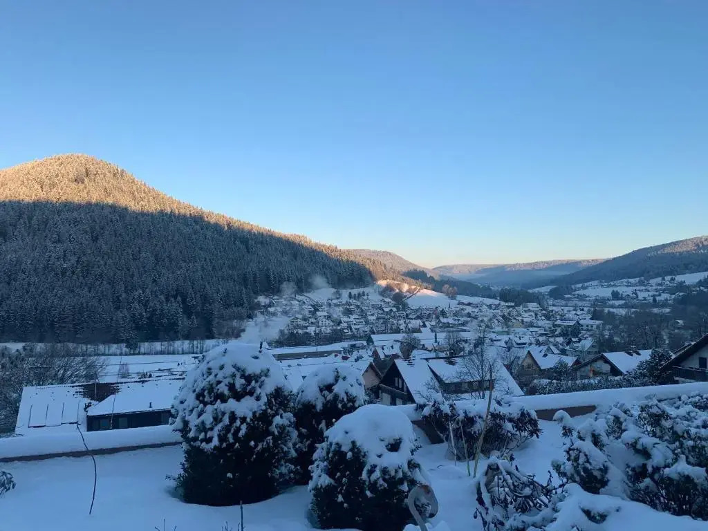 Appartement mit herrlicher Aussicht übers Murgtal