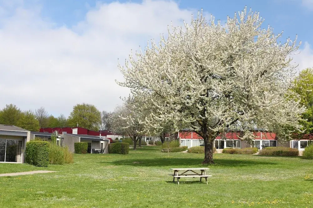 Bungalow With Sauna Near Valkenburg