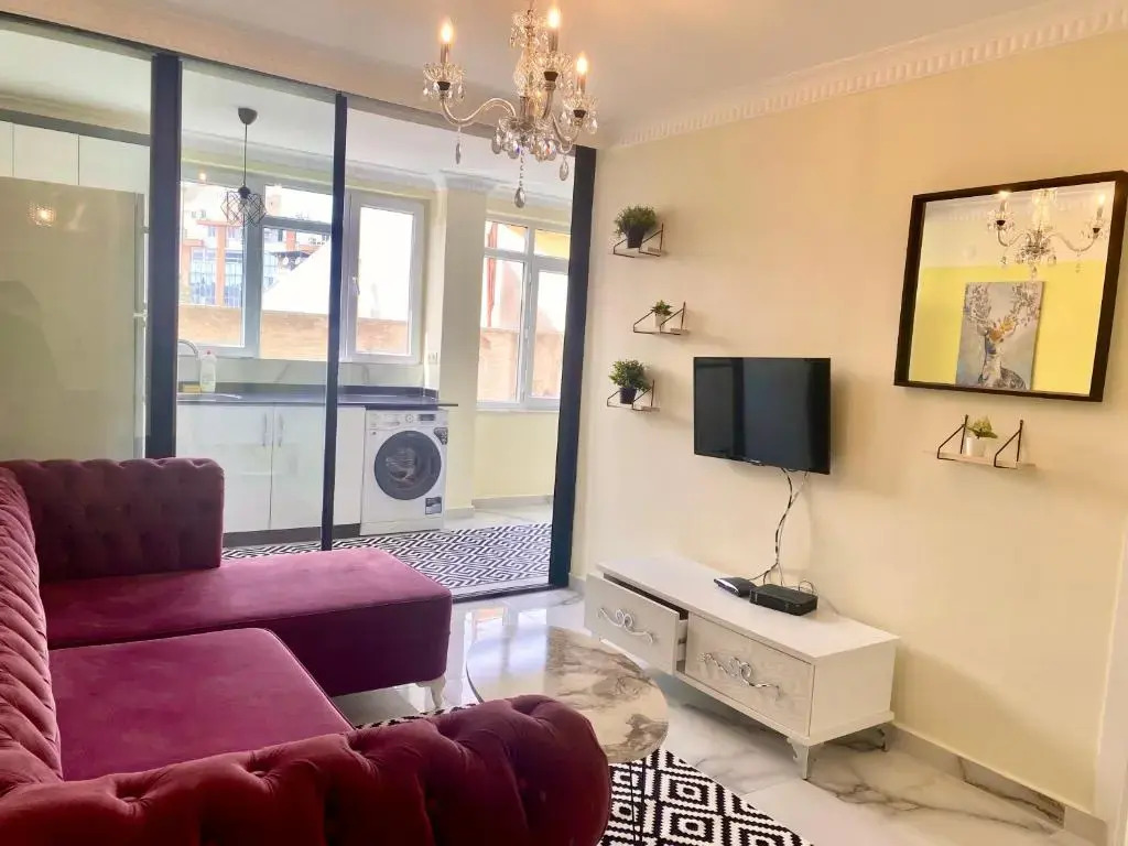 JAZZY LUXURIOUS FAMILY HOMES 100 Mb Wi-Fi