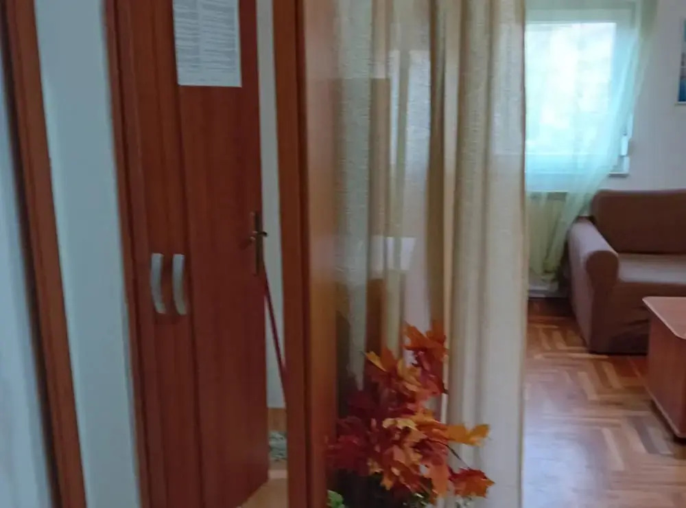 Apartment Petrova