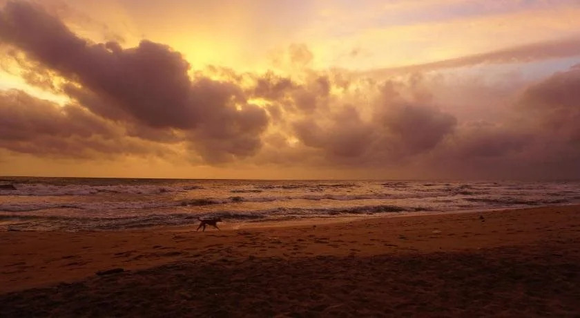Puetz Travels Beach Resort