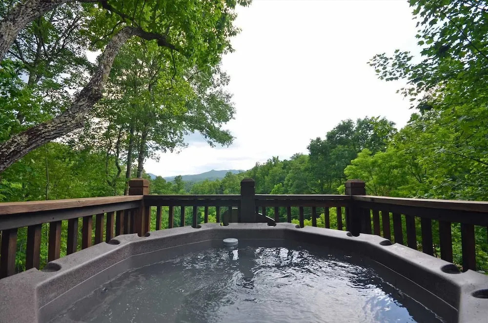 Soaring Eagle Cabin