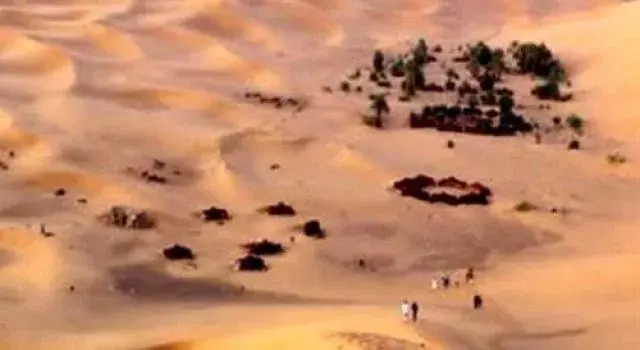 Camel Safari Camp