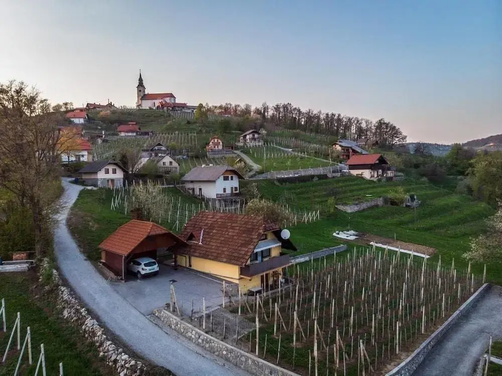Vineyard Cottage Hocevar
