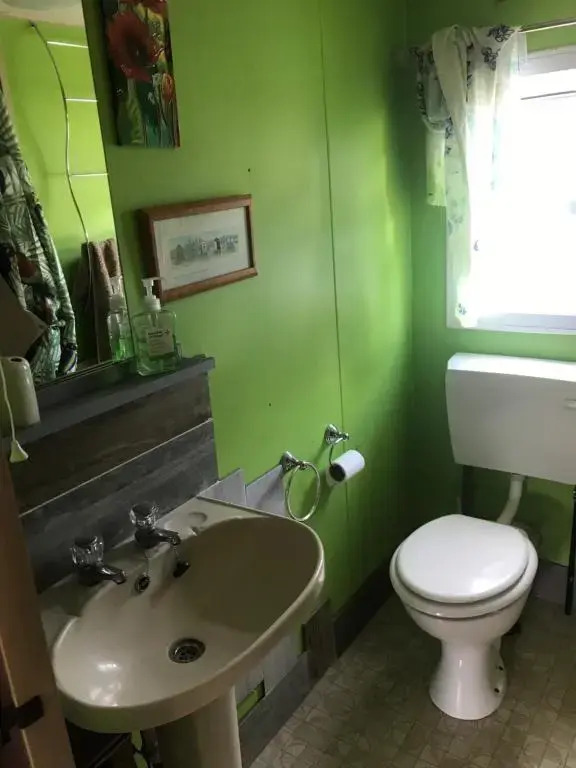 The Garden Shed 1