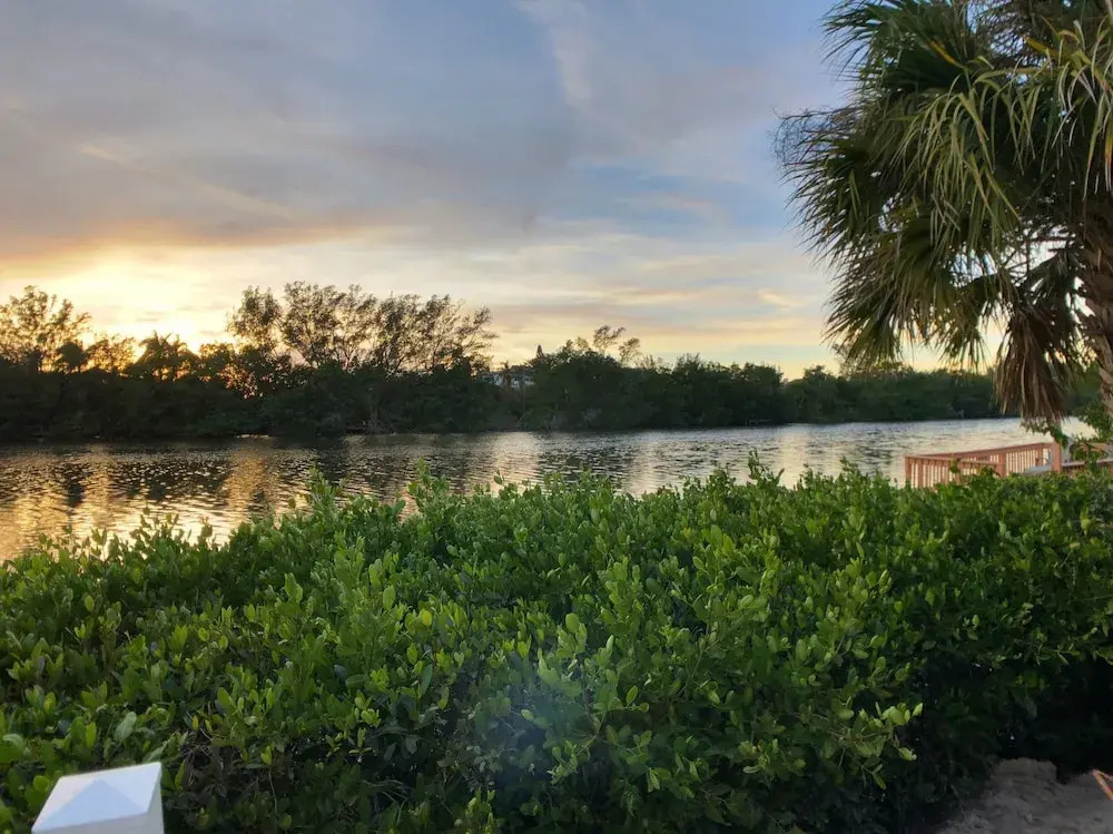 Siesta Heron 6 / Sunset