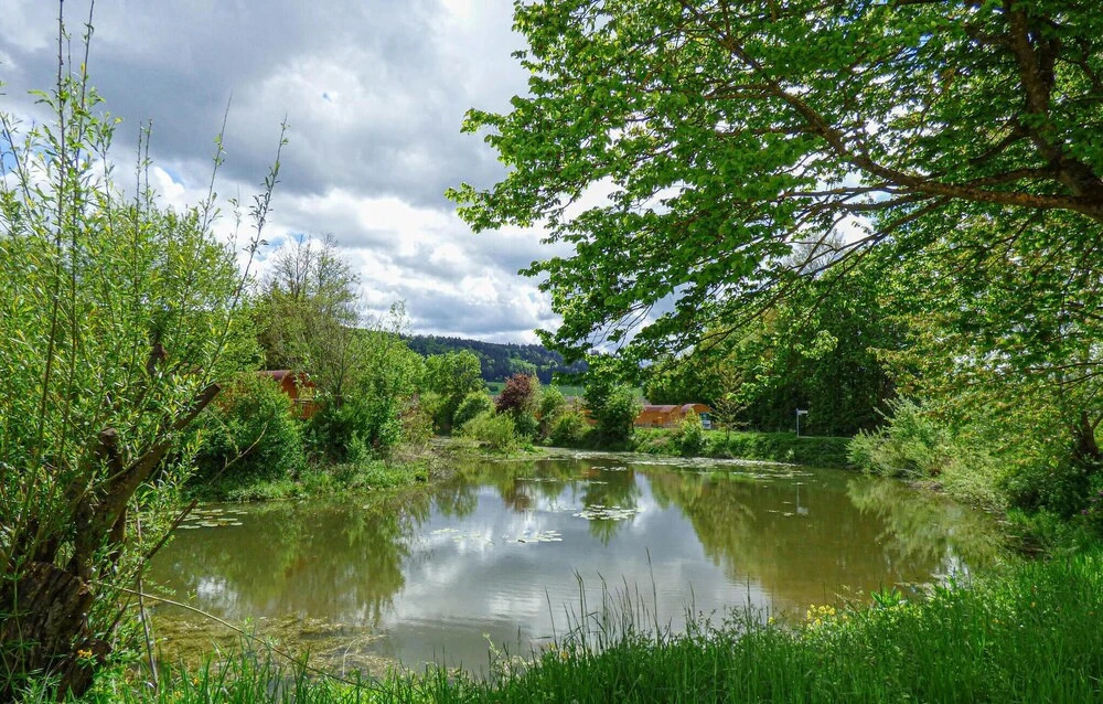 Awesome Home in Beilngries With 2 Bedrooms, Wifi and Indoor Swimming Pool