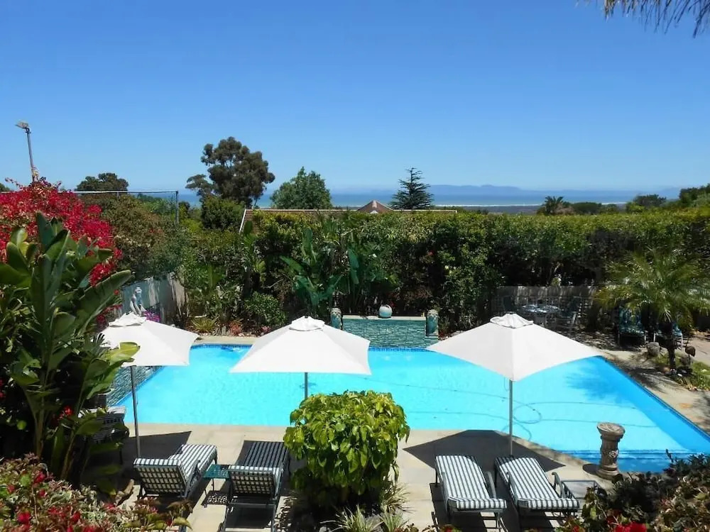 Roosboom Luxury Guest Studio - Upper Terrace One With Sea View, 2 Guets Capetown