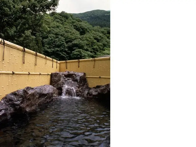 Hotel Morita