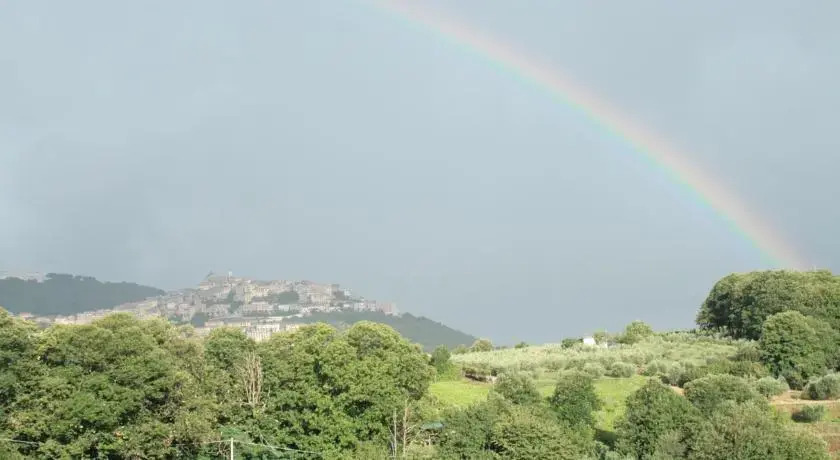 Oasi