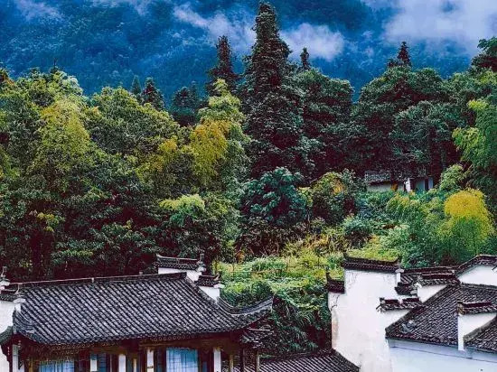 Only here·Only heart (Hongcun Branch)