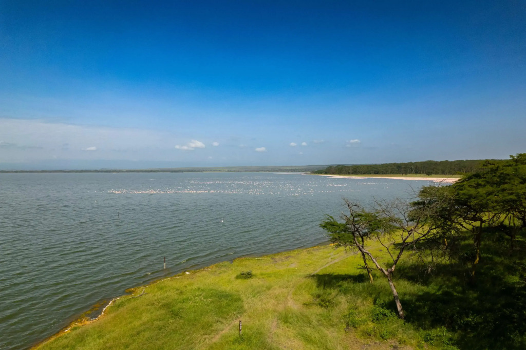 Lake Elmenteita Serena Camp