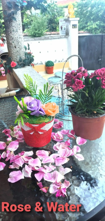 Rose & Water Guest house