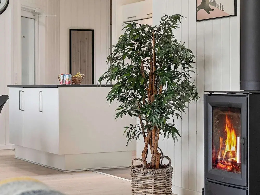 5 star holiday home in Nørre Nebel