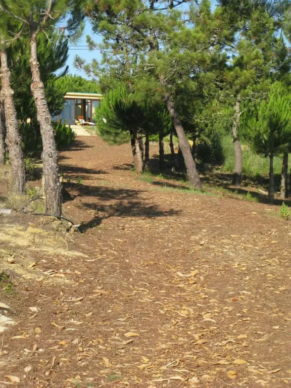 Quinta Raposeiros - Ocean View CountryHouse Ericeira