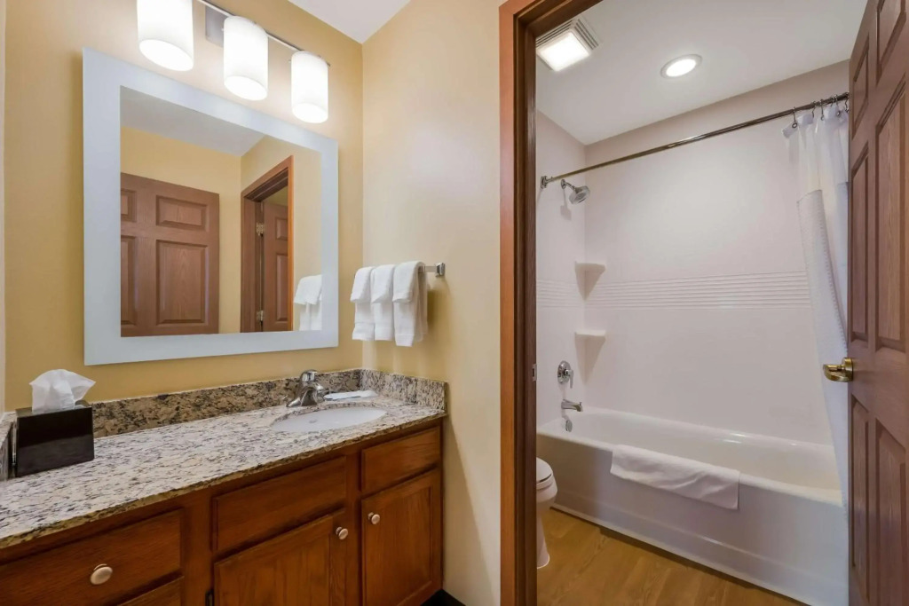 Sonesta Simply Suites Detroit Novi