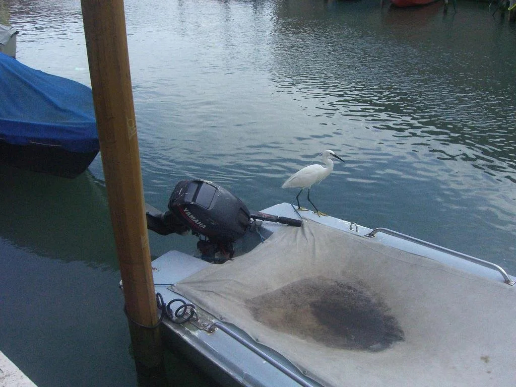 Ca Del Pomo Grana