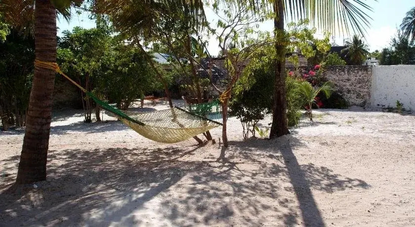Paje lounge