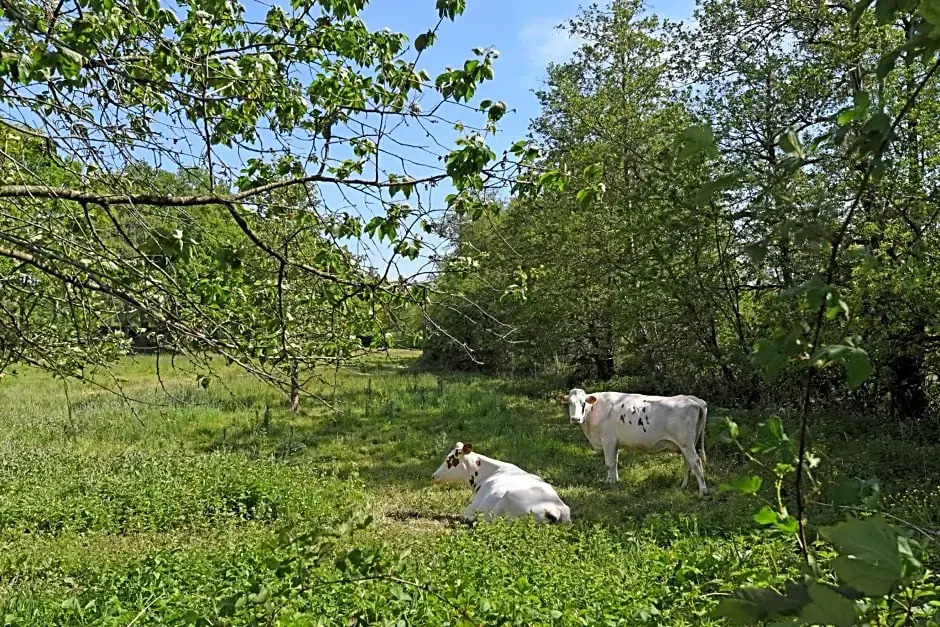 Bleeke Hoeve Bed&Breakfast