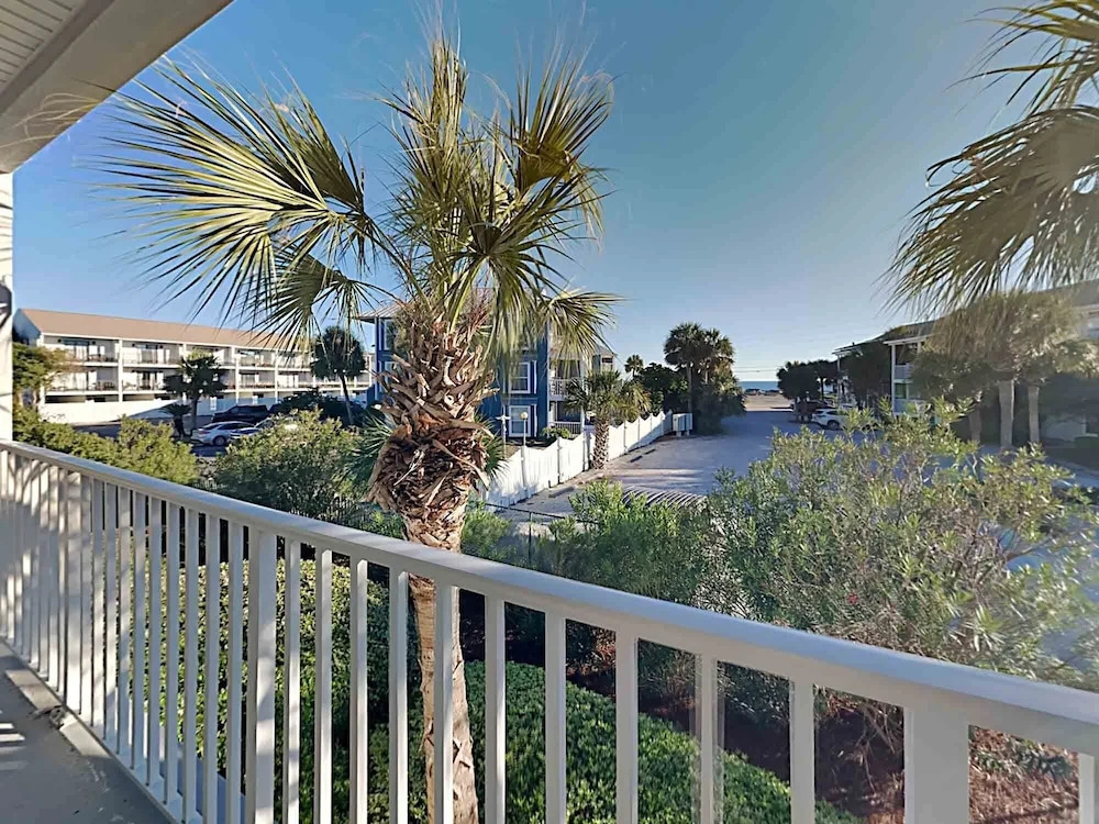 Pavilion Palms 104C by Newman-Dailey