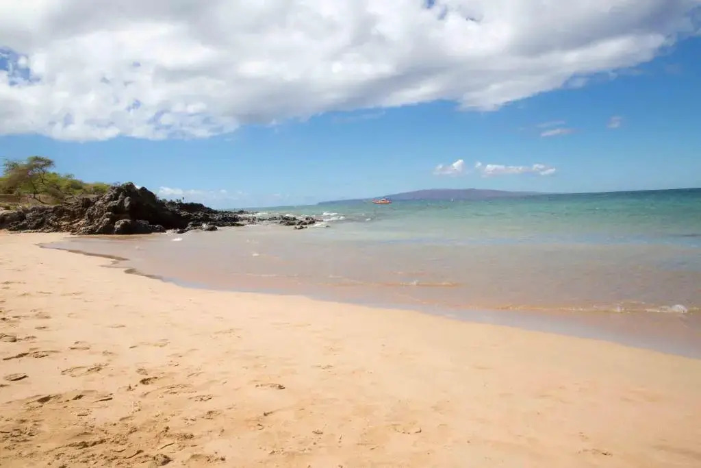 Hale Kamaole 142