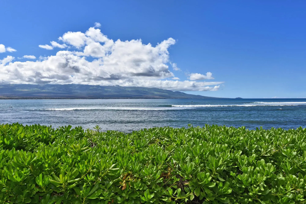 Island Sands 210