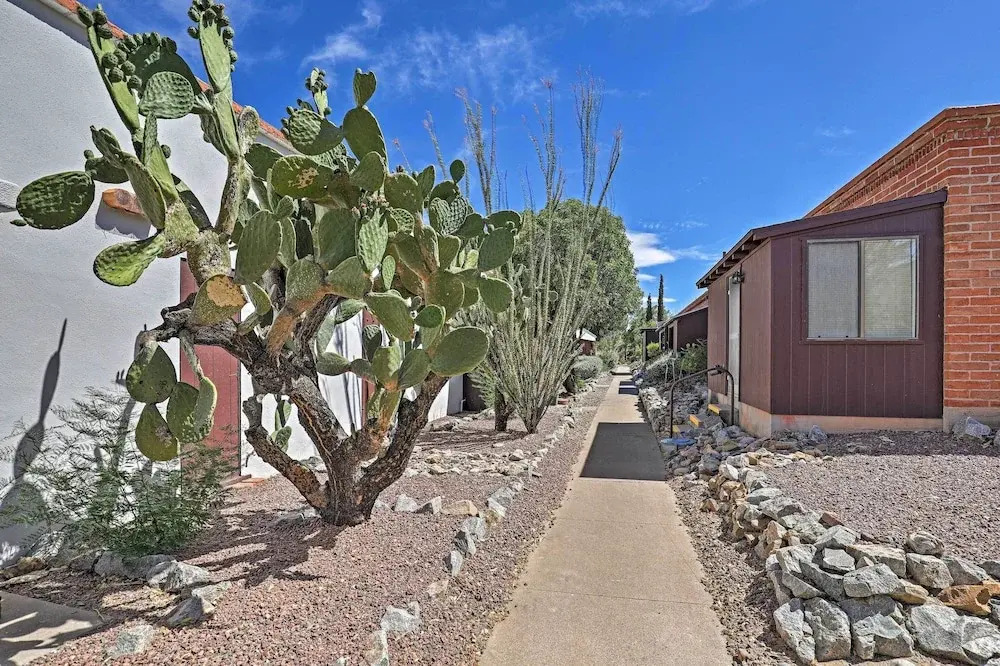Modern Green Valley Condo - Near National Park!